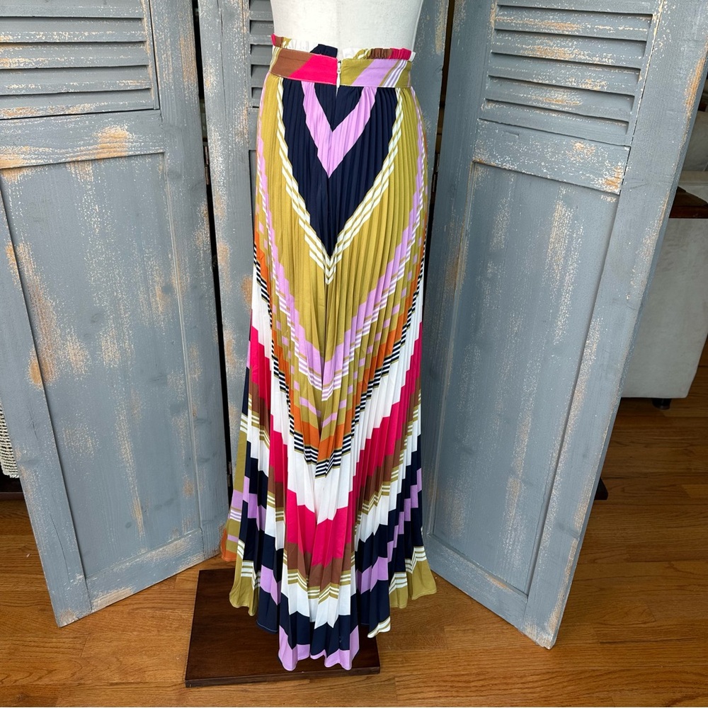 Pleated Chevron Midi Skirt in Multicolor Stripe - Picture 7 of 14